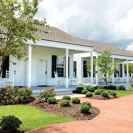 Nottoway Plantation And Resort 화이트 캐슬 외부 사진