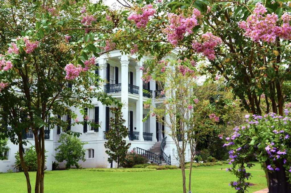 Nottoway Plantation And Resort 화이트 캐슬 외부 사진